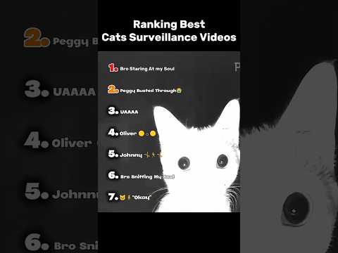 Ranking Best Cats Surveillance Videos
