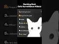 Ranking Best Cats Surveillance Videos