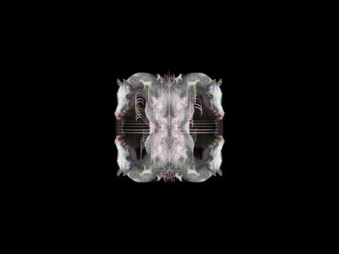 Video thumbnail for Wetware