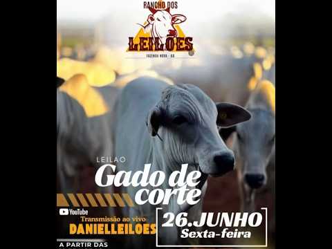 Fazenda Nova- GO   26/06/2026
