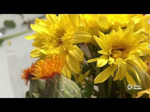 Flowers 💐 #love #