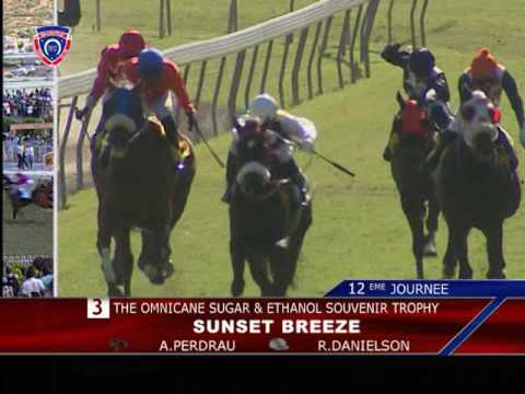 TEMPS FORT 2017 - RACE MEETING 12