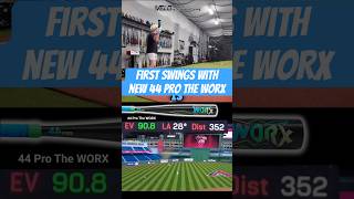UnReleased 44 PRO The WORX Bat Mini Review was Surprising