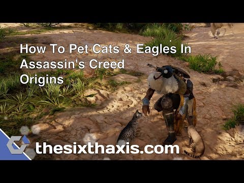 YouTube video about: How to pet cats in assassin's creed origins?