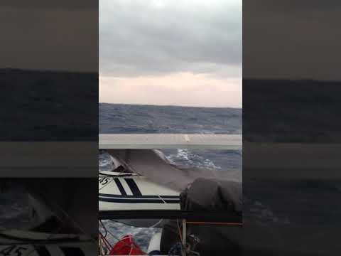 Segelkatamaran Catalac 9m im Atlantik