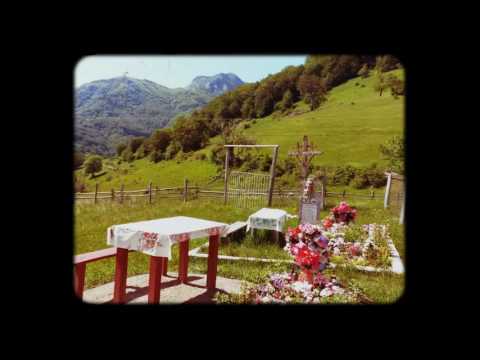 Prisacina 28 mai 2016