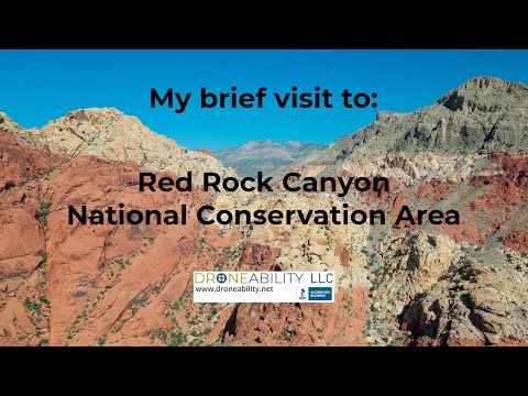 Daniel Tartaglia video