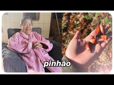 VROG #101: PINHÃO E ROLEZIM