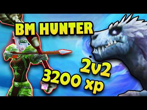 The War Within 11.1 Beast Mastery Hunter 2v2 Arena / PvP - 3200 exp