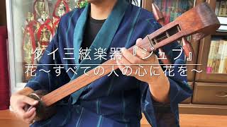 激レア楽器！！タイの三絃『ジュブ』を弾いてみた！？