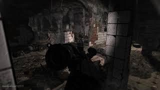 Stalker Anomaly 1.5.1 | HIP being weird