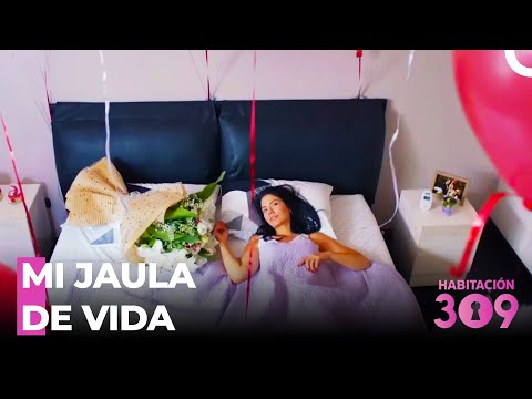 A Veces No Se Puede Bajar La Fiebre Del Corazón - Habitación 309
