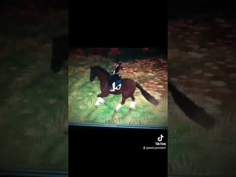 TYSM FOR 90!! {SSO EDIT}