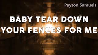 Vicetone feat. Matt Wertz - Fences (Lyrics)