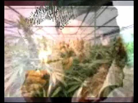 Coffeeshop in Lelystad (rap) - Dj L-Bow feat. MC GreenBean -