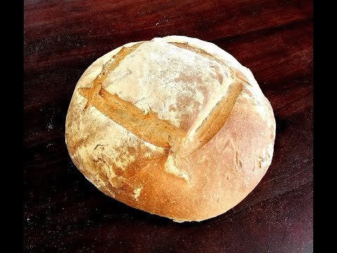 Como hacer PAN BASICO CON MASA MADRE