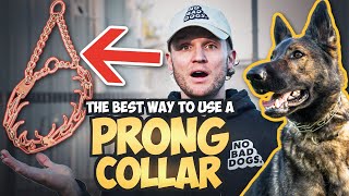 How to use the Prong Collar To Train Your Dog