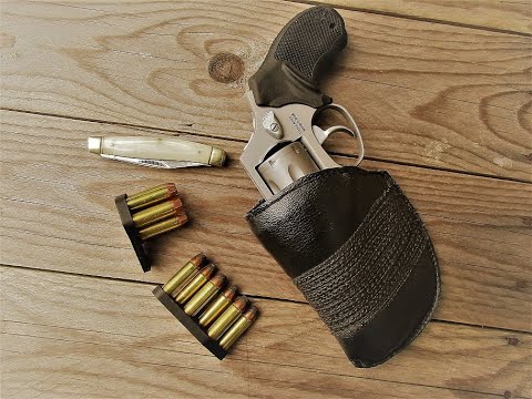 The Taurus 856 Concealed Hammer Snub