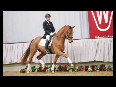 16  Fuchur Wallach v. Fürst Piccolo - Laureus