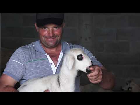 Agro karavan ep.185 - Tutin - 18.07.2021.