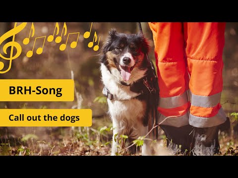 BRH Song - Call out the dogs