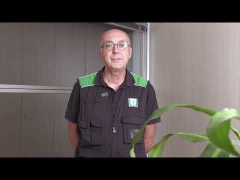 TECNICO ASCENSORISTA MANUTENTORE