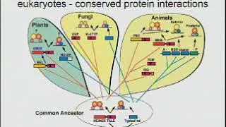 Sarah Hake - The Stem Cells Behind Plant Architecture