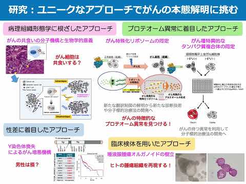 口腔病理学分野研究室紹介