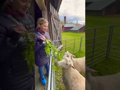 Find Your Happy Place in Finnish Lakeland