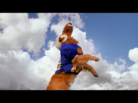 Air Bud: Golden Receiver (1998) Trailer