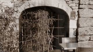 Caves vigneronnes à Baume-les-Messieurs