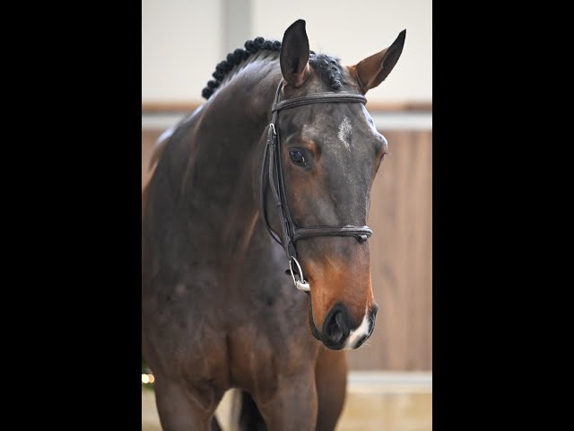 Whiskey van de Kruishoeve - walk & 360