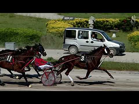 Aversa trotto 22 Maggio 2021 - 6° Corsa
