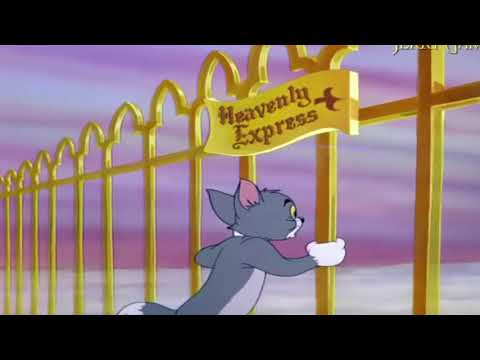 BlumSon - Zapach (prod. by harxkidd) | odrzut 2020