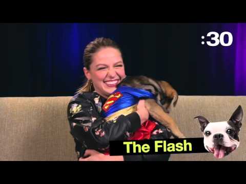 ‘Supergirl’ Star Melissa Benoist Takes Our Super Puppy Challenge   MTV News