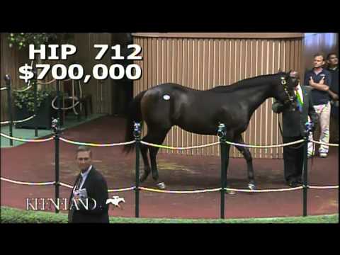 2013 September Yearling Sale - Hip 712, War Front-Blading Gold Ring colt