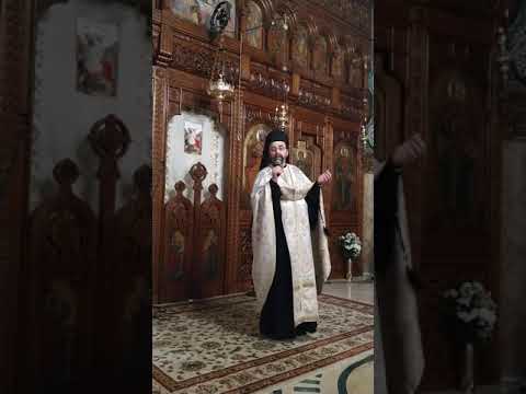 Arhim Andrei Coroian. Despre sfanta troita de arhierei: Vasile, Grigore si Ioan ! Deva. 29.01.2021.