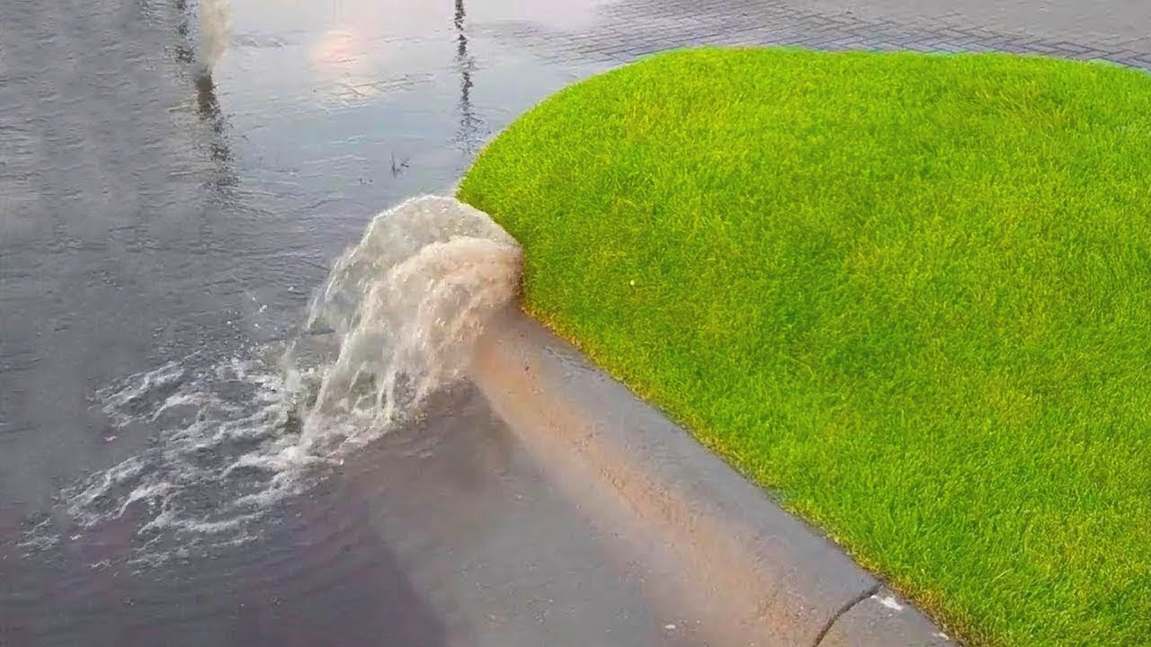 Here's What Happens When You Pop A Grass Bubble…