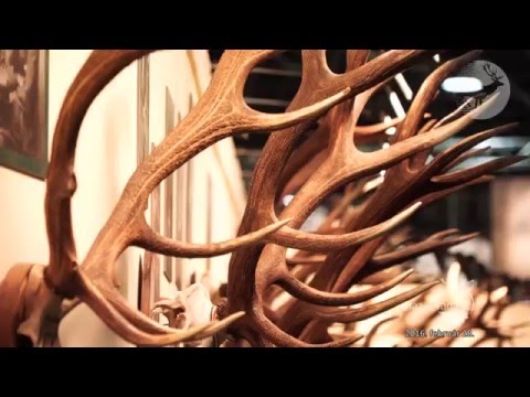 NIMRÓD Percek - „Híres vadászok – Jeles trófeák (1810-től napjainkig)” - 2016.02.28-i adás