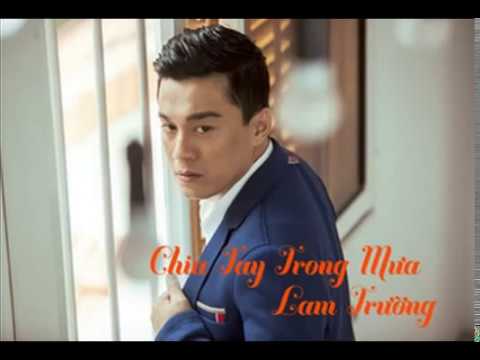 Chia tay trong mưa - Lam Trường