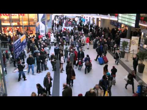 Freeze Flash Mob at Bahnhof Nürnberg [HD]