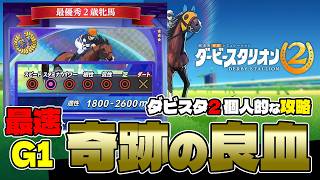 switch2『ダービースタリオン2個人的な攻略』奇跡の良血と自前良血、最優秀2歳牝馬表彰