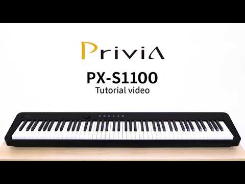 Casio PX-S1100WE Privia - Pian digital - SoundCreation