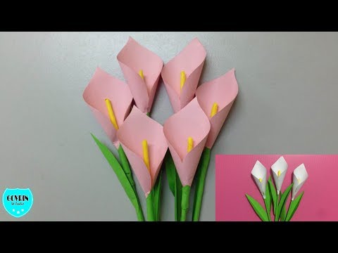 20 Contoh Bunga  Melati  Dari Kertas Krep Gambar Bunga  Indah