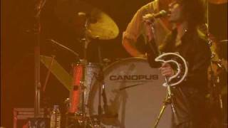 Thee Michelle Gun Elephant - (Live) Black Tambourine