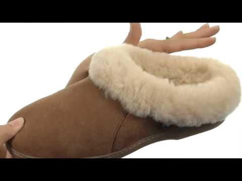 Acorn Ewe Collar Zappos