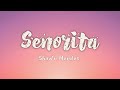 Senorita Shawn Mendes Lyrics Video