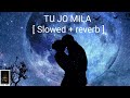 TU JO MILA Slowed Reverb KK Bajrangi Bhaijaan