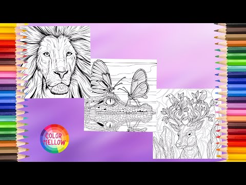 Adult Coloring Book   Coloring Wild Animals Lion Reindeer & Crocodile   Oddly Satisfying Videos