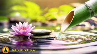 Relaxing Music, Calm Music, Sleep Music, Meditation Music, Stress Relief Music, Study, Relaxing